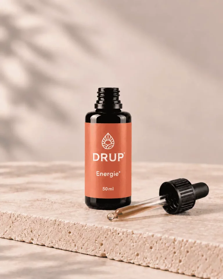 DRUP Energie