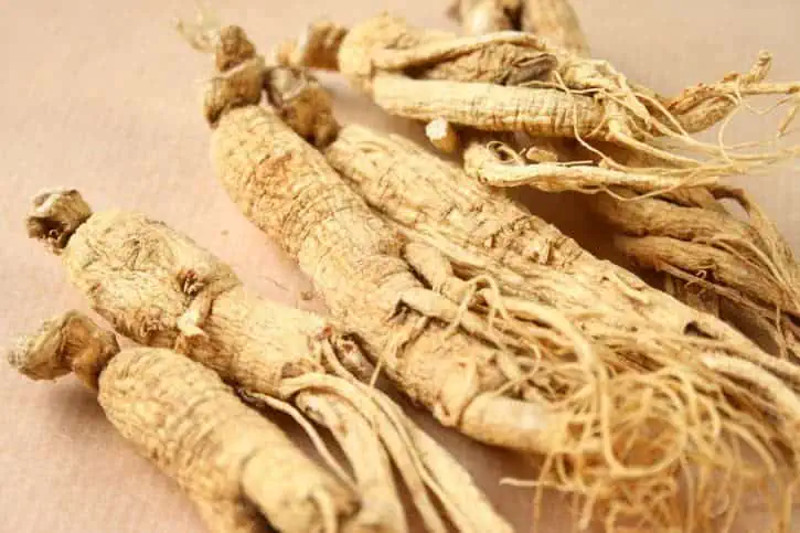 Chinese ginseng