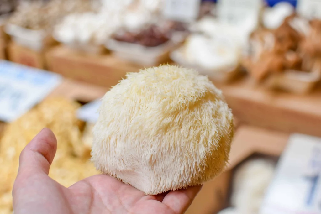 Lion’s mane