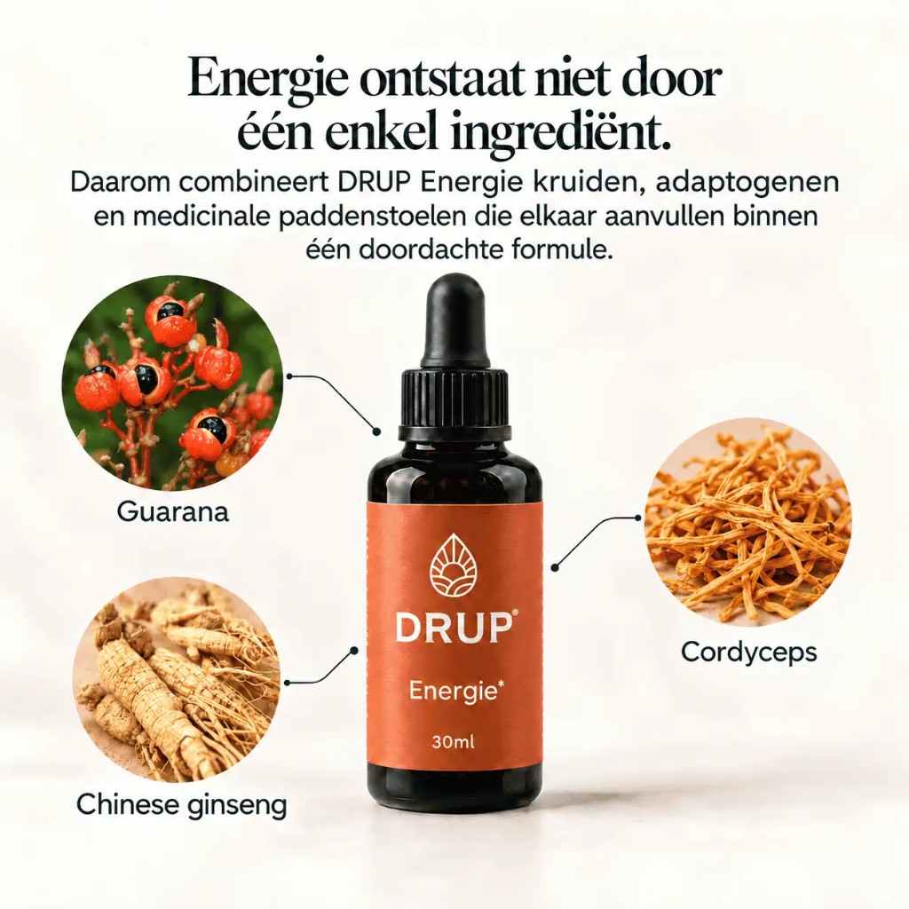 Ingrediënten van DRUP Energie