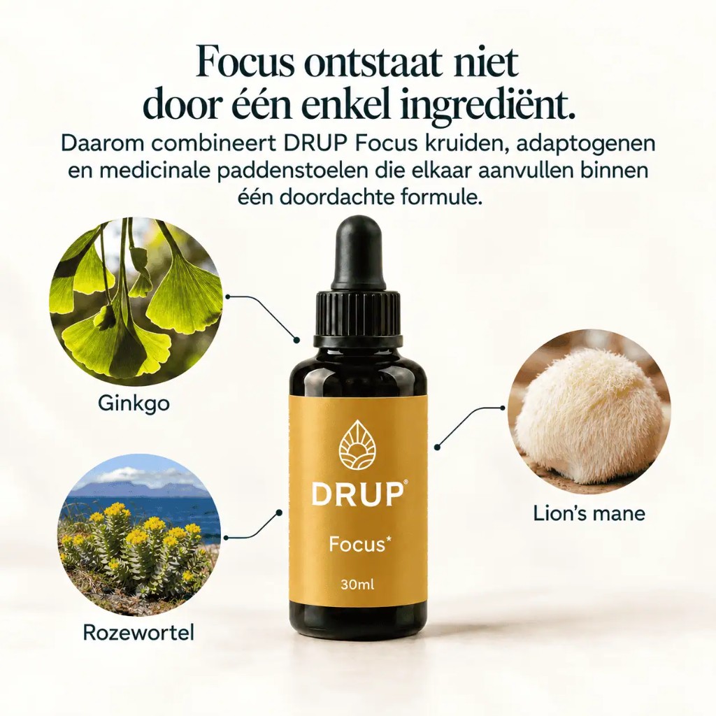Ingrediënten van DRUP Focus: ginkgo, rozewortel en lion’s mane