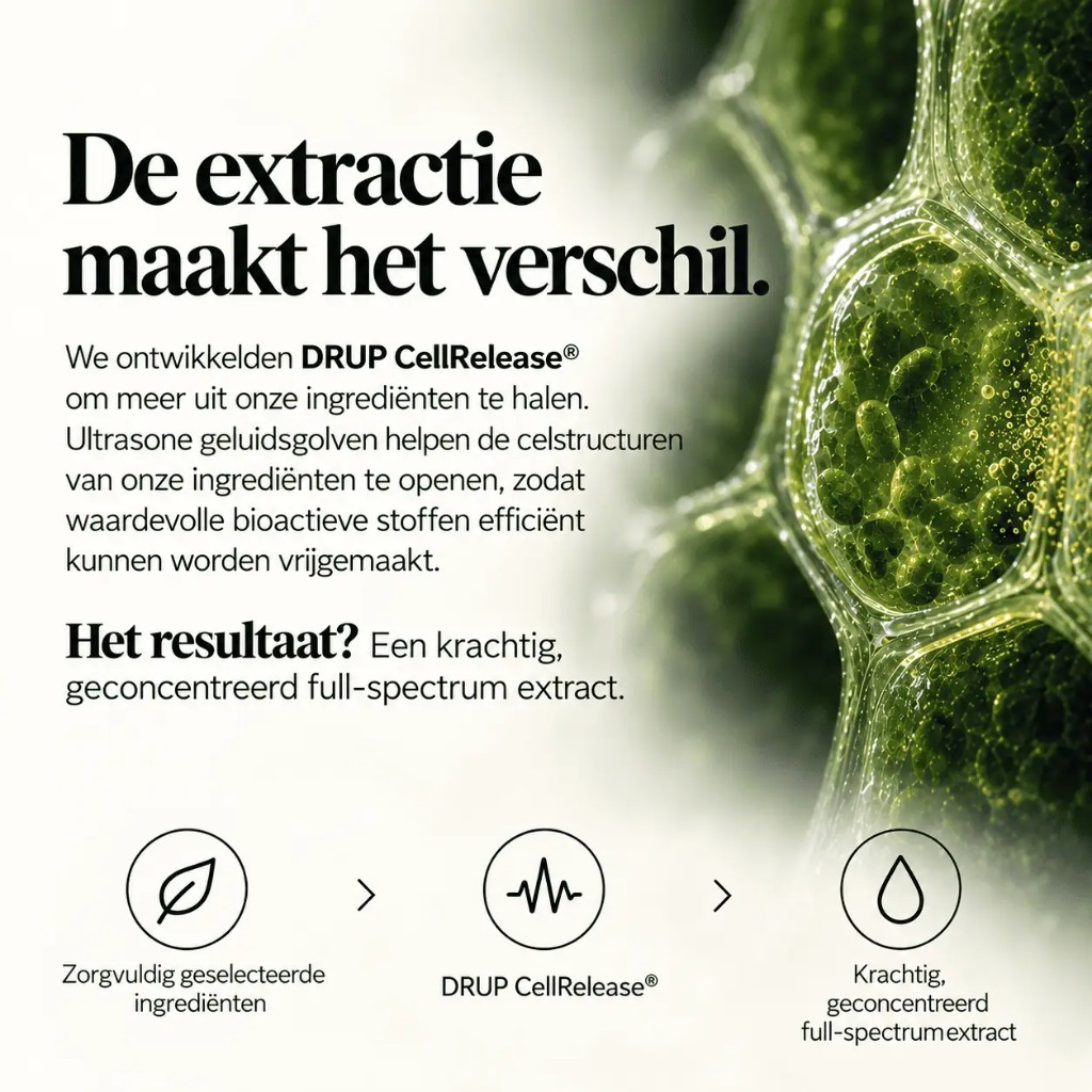 DRUP CellRelease, het extractieproces van DRUP Relax